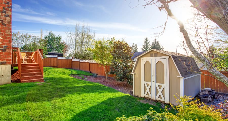 Fenced backyard with storage shed in Tucson